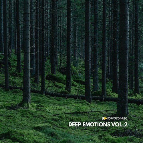 Deep Emotions Vol. 1-2 (2020-2021)
