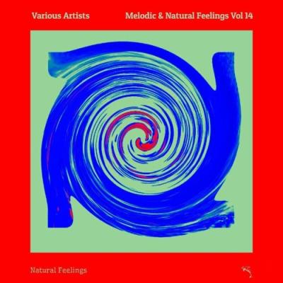 VA - Melodic & Natural Feelings Vol 14 (2022) (MP3)