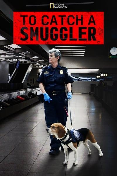To Catch a Smuggler S04E03 Bunked in a Trunk 720p HEVC x265 