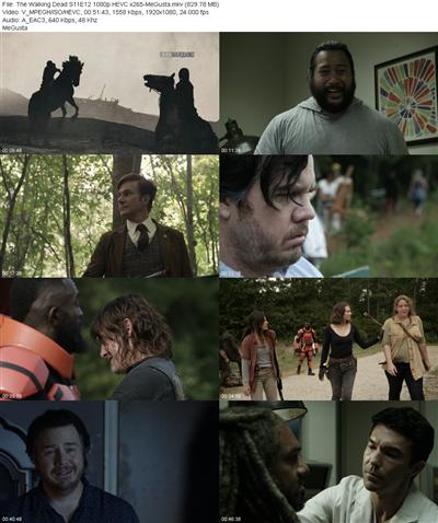 The Walking Dead S11E12 1080p HEVC x265 