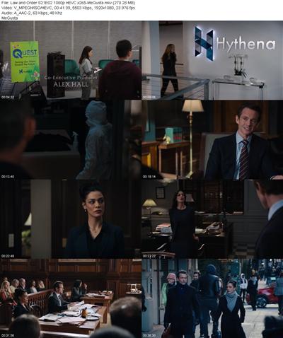 Law and Order S21E02 1080p HEVC x265 