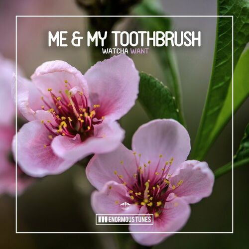 VA - Me & My Toothbrush - Watcha Want (2022) (MP3)