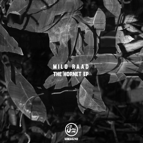VA - Milo Raad - The Hornet EP (2022) (MP3)