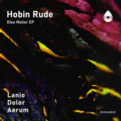 VA - Hobin Rude - Dies Melior EP (2022) (MP3)