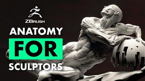 FlippedNormals - Fundamental Anatomy for Sculptors with Christian Bull