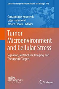 Tumor Microenvironment and Cellular Stress Signaling, Metabolism, Imaging, and Therapeutic Targets 