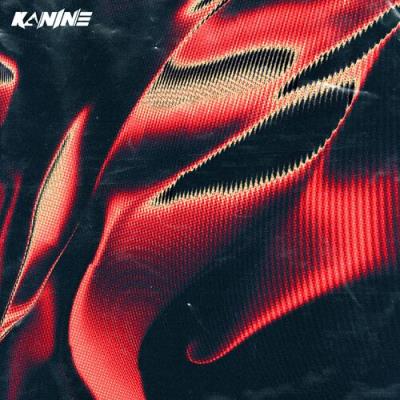 VA - Kanine - Set It Off / The Weapon (2022) (MP3)