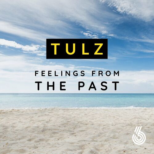 VA - Tulz - Feelings From The Past (2022) (MP3)