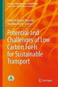 Potential and Challenges of Low Carbon Fuels for Sustainable Transport