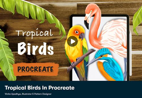 Skillshare - Tropical Birds In Procreate