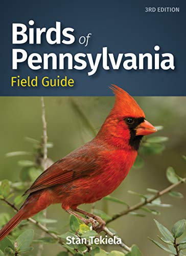 Birds of Pennsylvania Field Guide (Bird Identification Guides), 3rd Edition