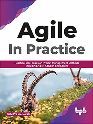 AGILE in Practice Practical Use-cases on Project Management Methods including Agile, Kanban and Scrum (True EPUB)