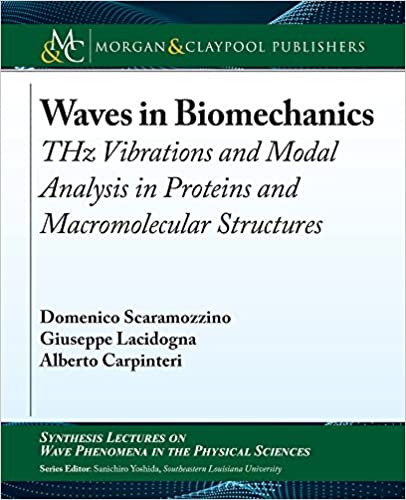 Waves in Biomechanics Thz Vibrations and Modal Analysis in Proteins and Macromolecular Structures
