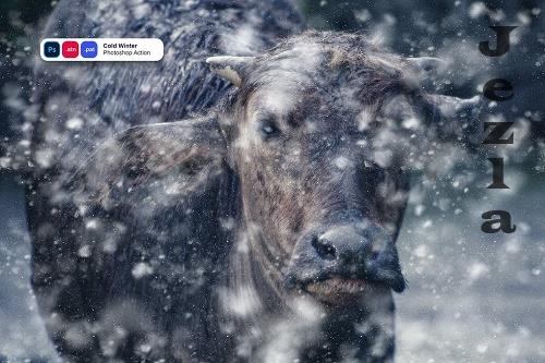 Cold Winter Photoshop Action Cold Winter Photoshop Action