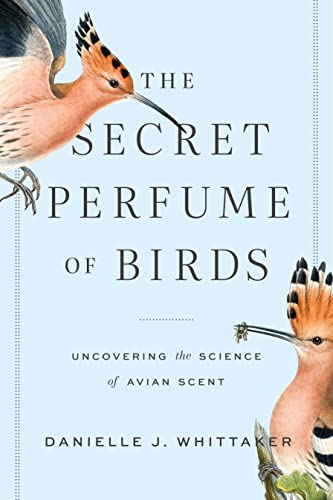 The Secret Perfume of Birds Uncovering the Science of Avian Scent