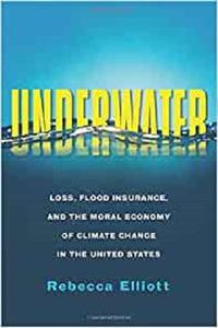 Underwater Loss, Flood Insurance, and the Moral Economy of Climate Change in the United States