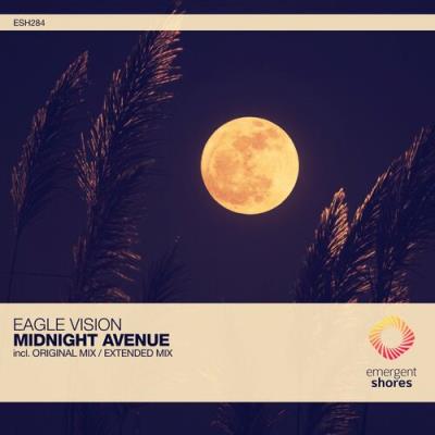 VA - Eagle Vision - Midnight Avenue (2022) (MP3)