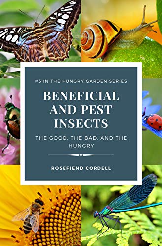 Beneficial and Pest Insects The Good, the Bad, and the Hungry