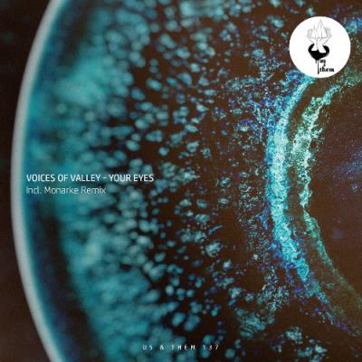 VA - Voices of valley - Your Eyes (2022) (MP3)