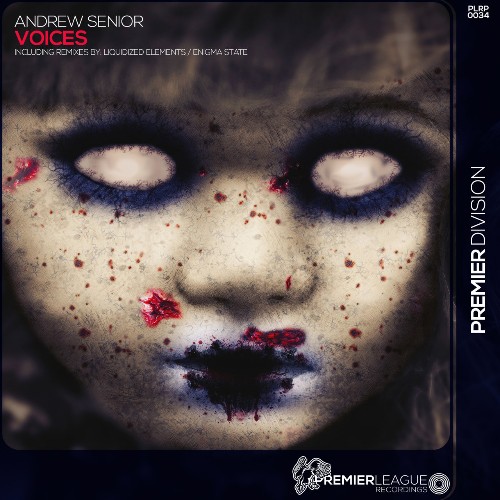 VA - Andrew Senior - Voices (2022) (MP3)