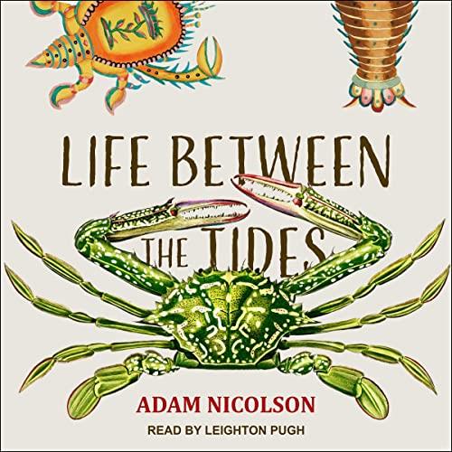 Life Between the Tides [Audiobook]