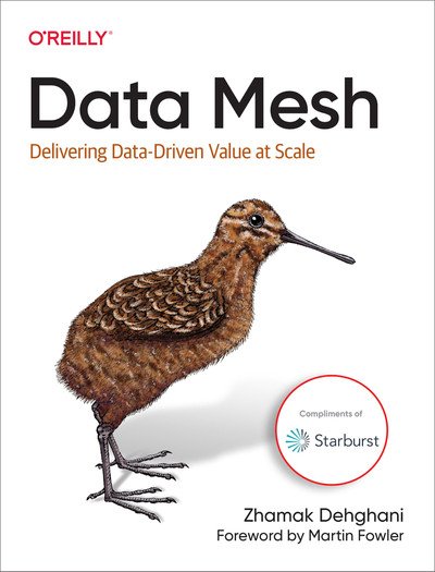 Data Mesh Delivering Data-driven Value at Scale (6th Early Release)