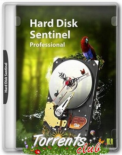 Hard Disk Sentinel Pro 6.01 Build 12540 RePack (& Portable) by KpoJIuK (x86-x64) (2022) (Multi/Rus)