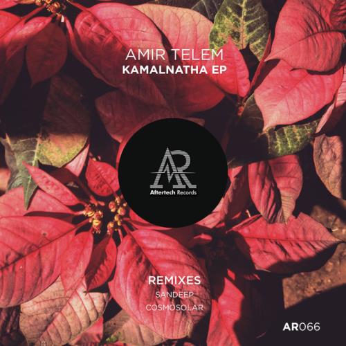 VA - Amir Telem - Kamalnatha EP (2022) (MP3)