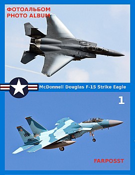 McDonnell Douglas F-15 Strike Eagle (1 )