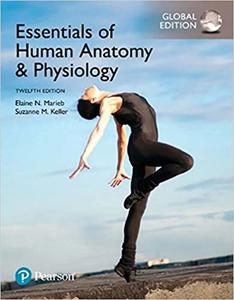 Essentials of Human Anatomy & Physiology, Global Edition