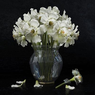https://i116.fastpic.org/big/2022/0311/6c/42bddb27e360f8fe6ec0ec68a76bca6c.jpeg