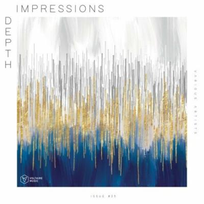 VA - Depth Impressions Issue #25 (2022) (MP3)