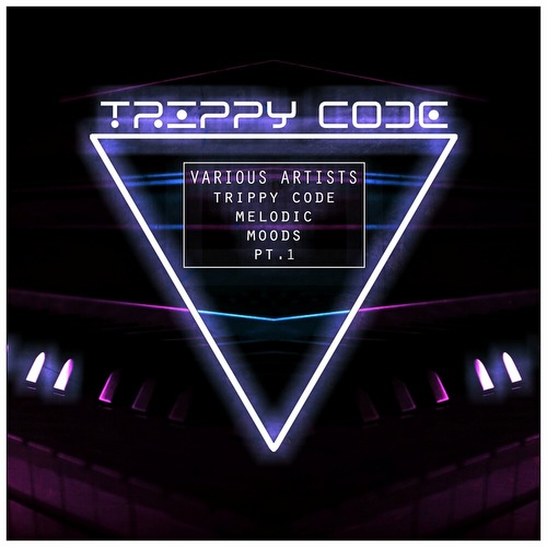 VA - Trippy Code Melodic Moods Pt 1 (2022)