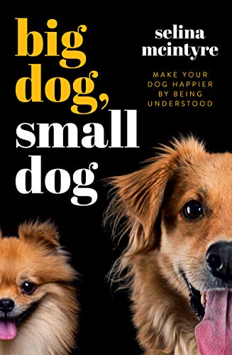 Big Dog Small Dog Make Your Dog Happier By Being Understood