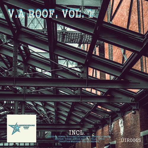 VA - V.a. Roof Vol 1 (2022)