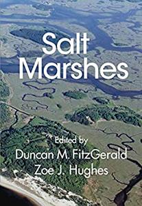 Salt Marshes Function, Dynamics, and Stresses