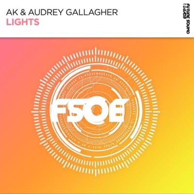 VA - AK & Audrey Gallagher - Lights (2022) (MP3)
