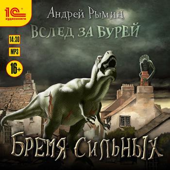 постер к Рымин Андрей - Бремя сильных (Аудиокнига)