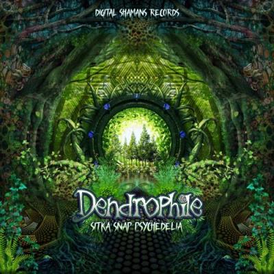 VA - Dendrophile - Sitka Snap Psychedelia (2022) (MP3)