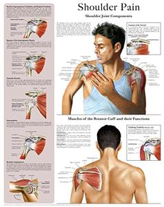Shoulder Pain e-chart Quick reference guide