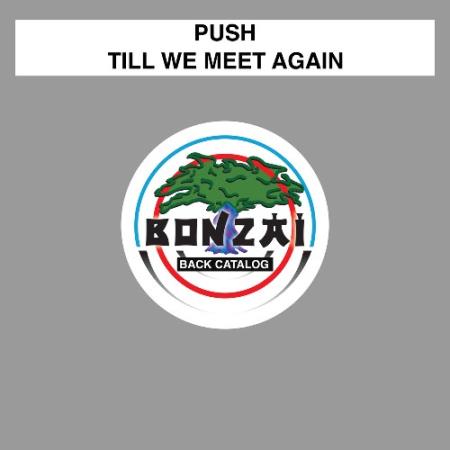 Push - Till We Meet Again (2022)