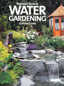 Beginner's Guide to Water Gardening