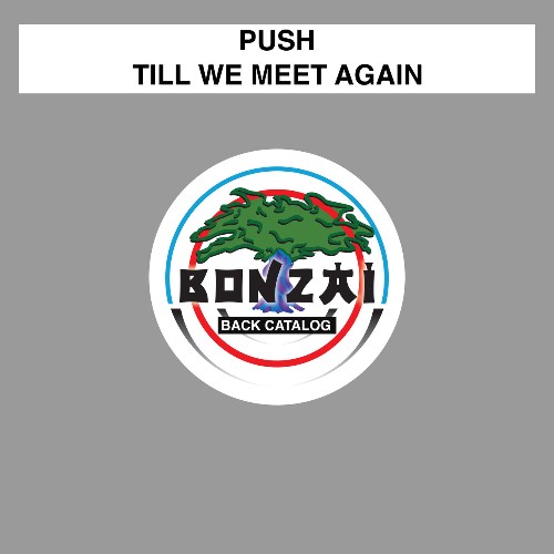 VA - Push - Till We Meet Again (2022) (MP3)