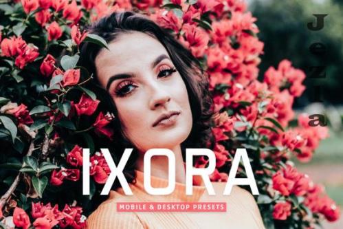 Ixora Mobile & Desktop Lightroom Presets - 1852320 Ixora Mobile & Desktop Lightroom Presets - 1852320