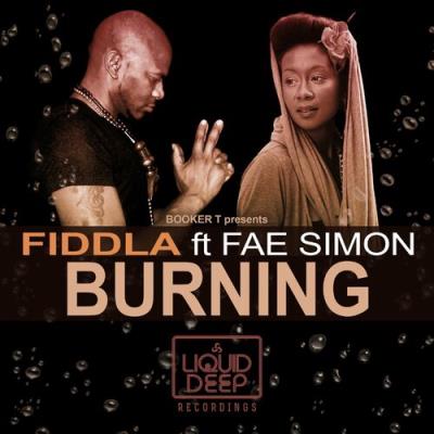 VA - Fiddla ft Fae Simon - Burning (2022) (MP3)