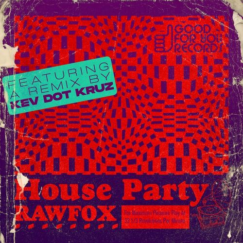 VA - Rawfox - House Party (2022) (MP3)