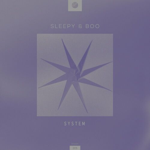 VA - Sleepy & Boo - System (2022) (MP3)