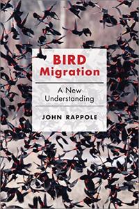 Bird Migration A New Understanding