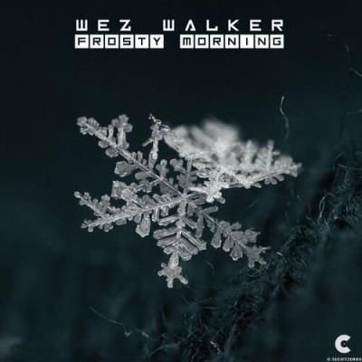 VA - Wez Walker - Frosty Morning (2022) (MP3)