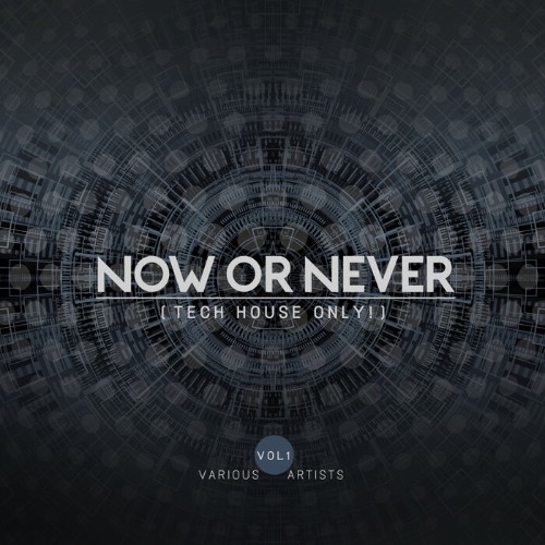 Now Or Never, Vol. 1 (Tech House Only!) (2022)